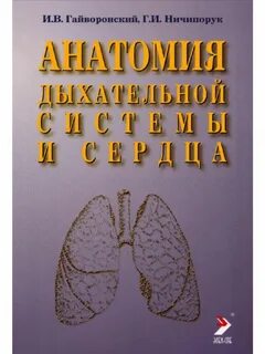 Гайворонский мочеполовая система