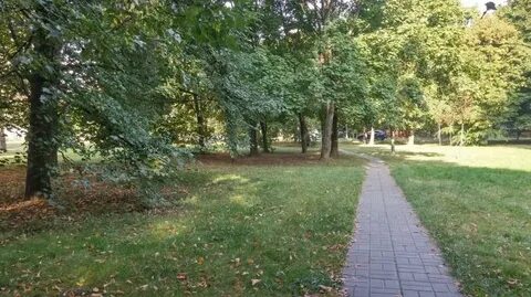 Them park