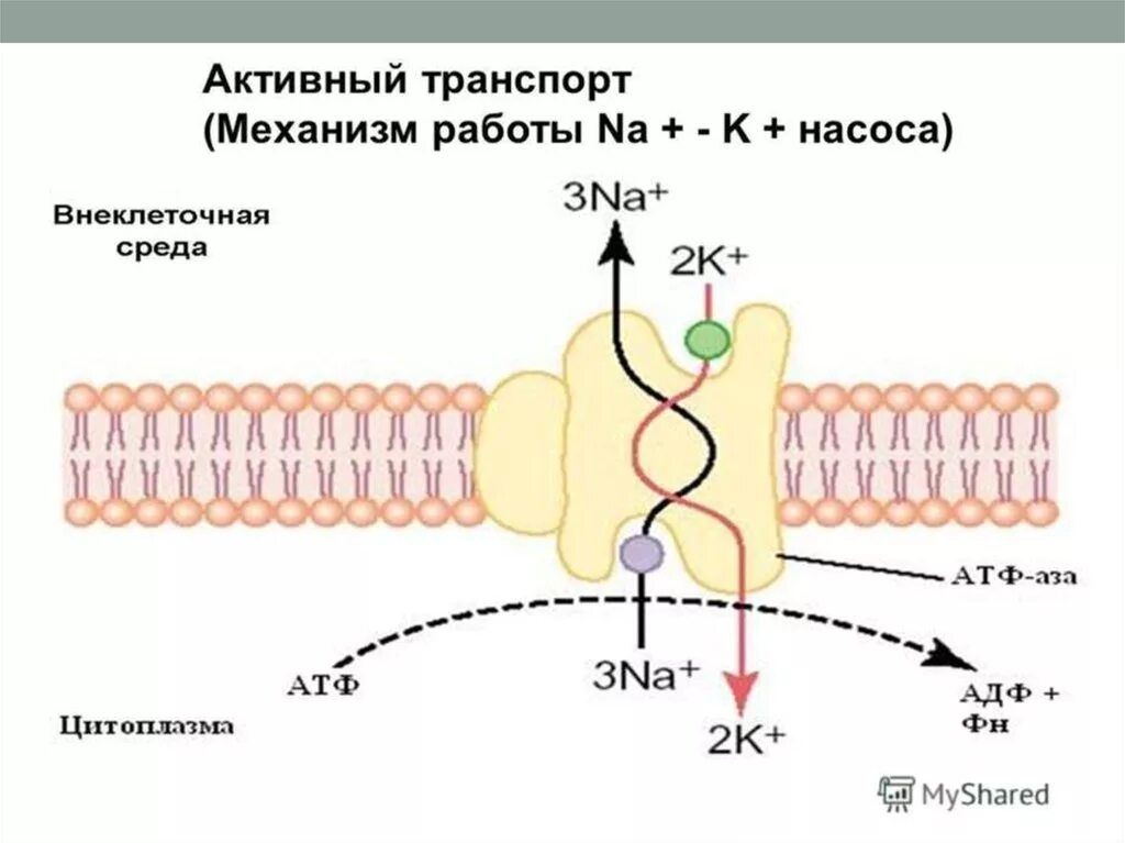 Na k al n rb