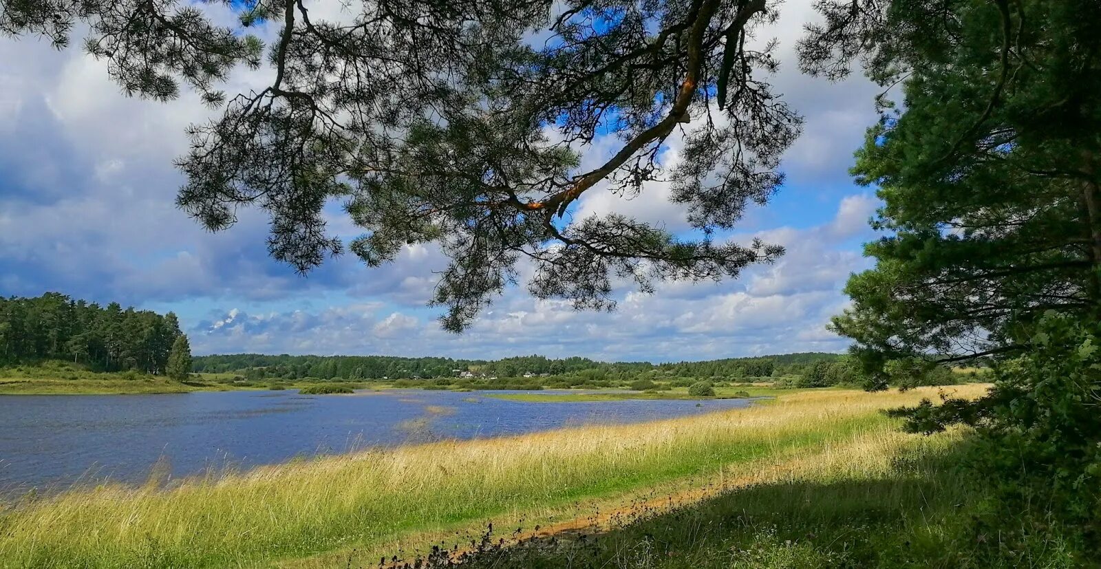 Рп5 михайловский приморский край. Село Михайловское Алтайский край. Село Михайловское Приморский край. Михайловское Домодедовский район. Михайловское Алтайский край Михайловский район.