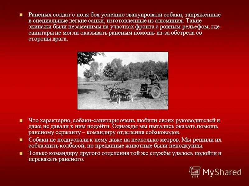 раненый солдат возвращается домой. раненая птица в руки не давалась. расскажи каково быть брошенной. быть раненой текст. песня просьба раненая птица.