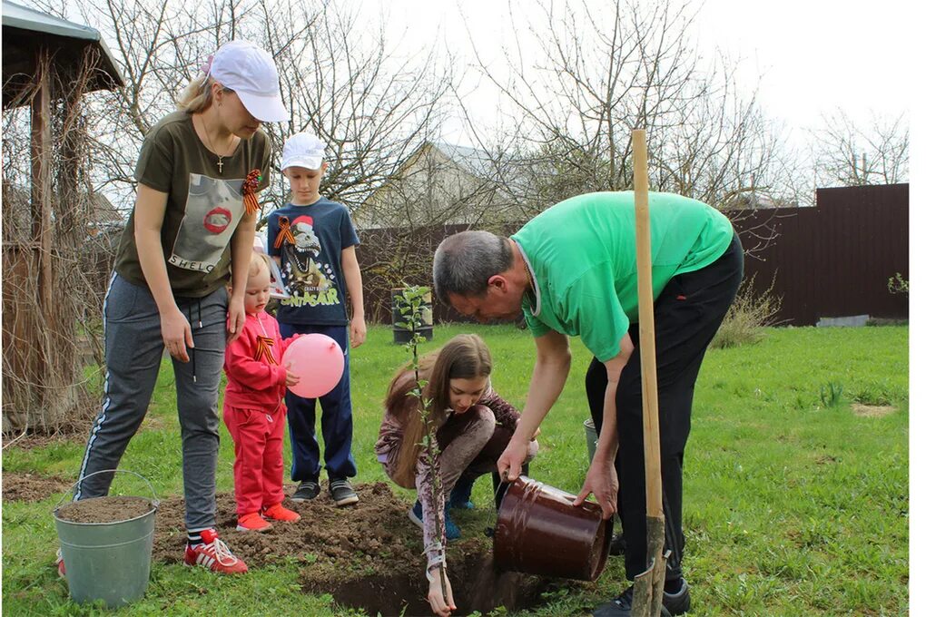 Посадка деревьев. Дети сажают деревья. Высаженные деревья. Сажание деревьев. Посадили дерево в честь