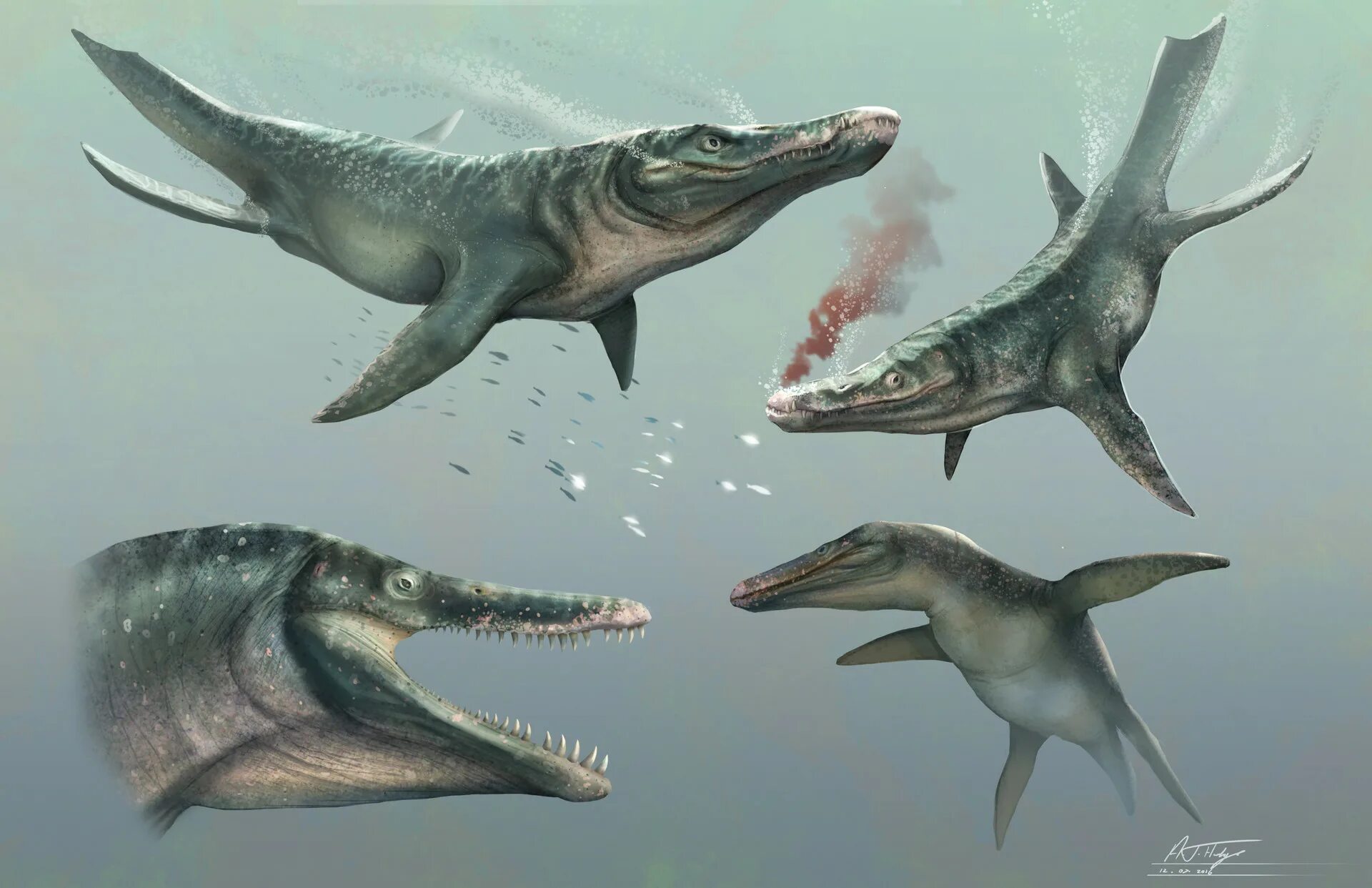 Ихтиозавр первичноводный. Плиозавр Функе. Плиозавр динозавр. Юрский Плиозавр. Ихтиозавры, плезиозавры, мозазавры.