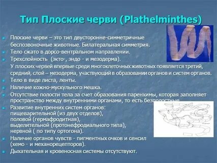 Плоские черви в рыбе