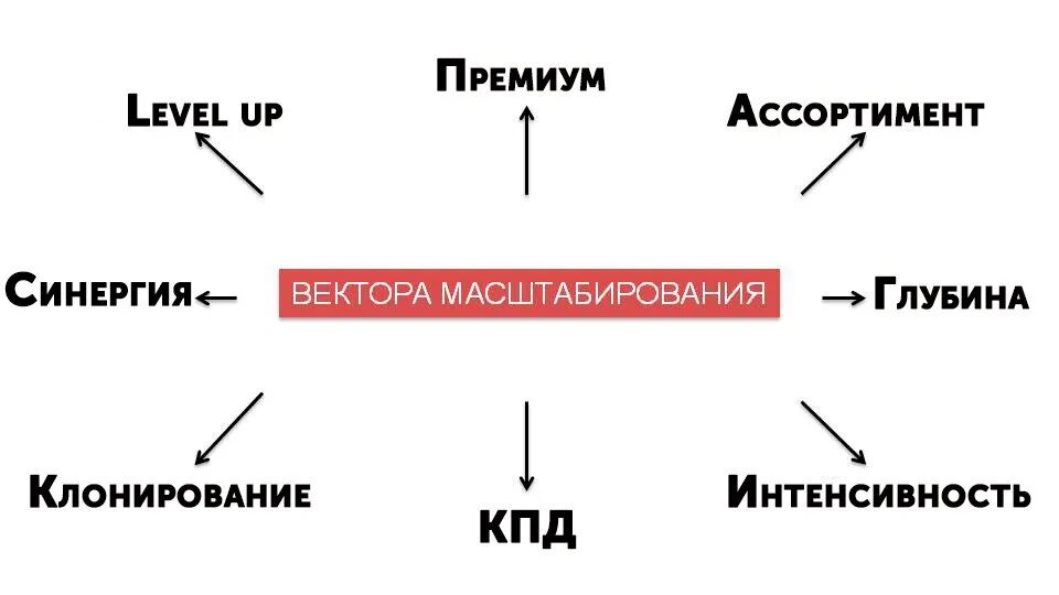 Масштабирование. Стратегия масштабирования. Масштаб бизнеса. Вектора масштабирования БМ. Масштабирование бизнеса.