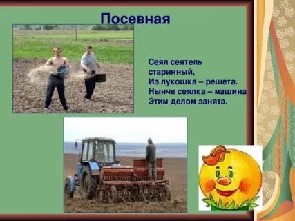 Сеют или сеят как правильно