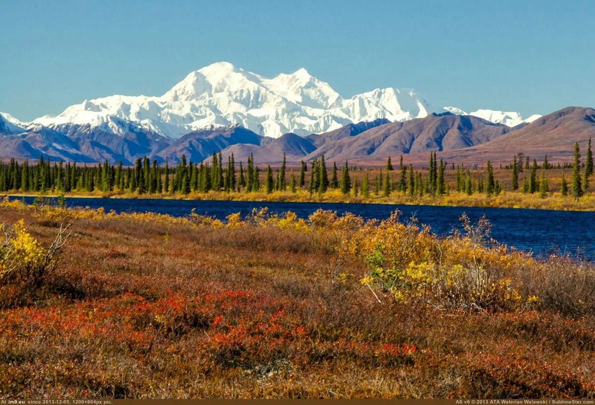 Национальный парк Денали. Национальный парк Денали, Аляска, США. Денали, штат Аляска парк. Заповедник Рангел-сент-Элайас.