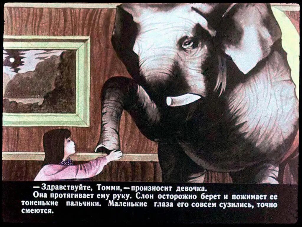 Рассказ слон текст. Слон Томми Куприн. Слон Куприна 3 класс литература. Куприн слон диафильм.