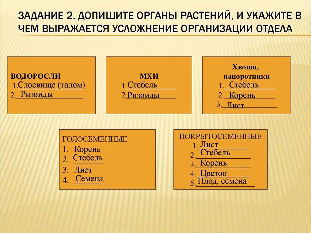 Допишите органы растений. Усложнения организации растений. Растения в порядке усложнения их организации в строении. Усложнение организации. В чем проявляются усложнения организации