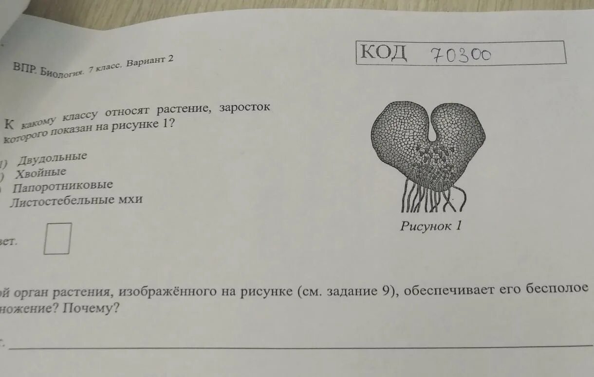 Впр я медленно ехал по дороге возвращаясь. Задания сердце круги ВПР. На ошибках учатся будет уместно в ситуации когда ВПР 4 класс. Что на рисунке изображено под цифрой 4 биология 5 класс ВПР ответ.