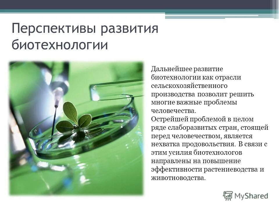 Научные достижения в области биотехнологий. Перспективы развития биотехнологии. Перспективы развития ьио. Перспективы биотехнологии. Биотехнология достижения и перспективы развития.