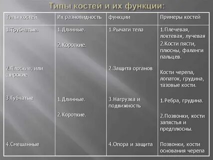 Таблица вид костей особенности примеры