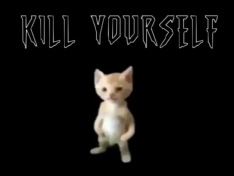 It s me mike. Michael this is Michael. Michael Cat. Кот Мем. Кот Майкл Мем.