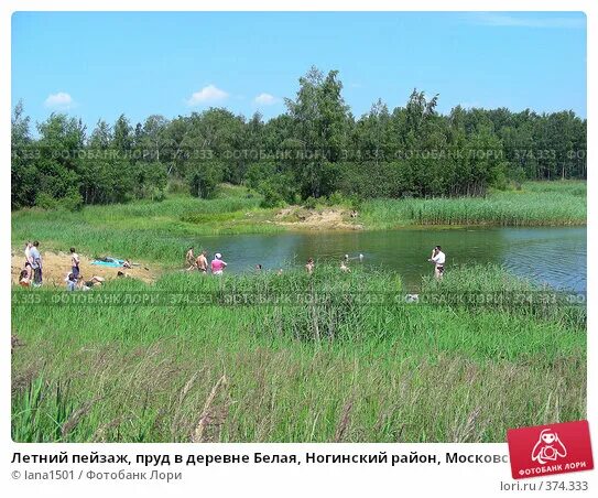 Снт фабричка ногинский район. Деревня белая ногинский район. Белая ногинск. Деревня белая ногинский район история. Белая ногинск.