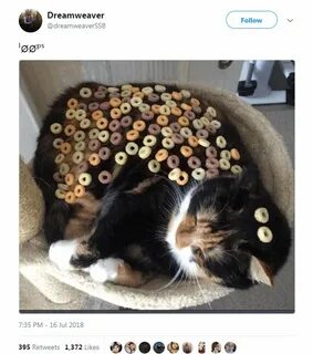 Only loops