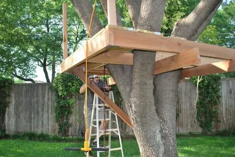 Build tree