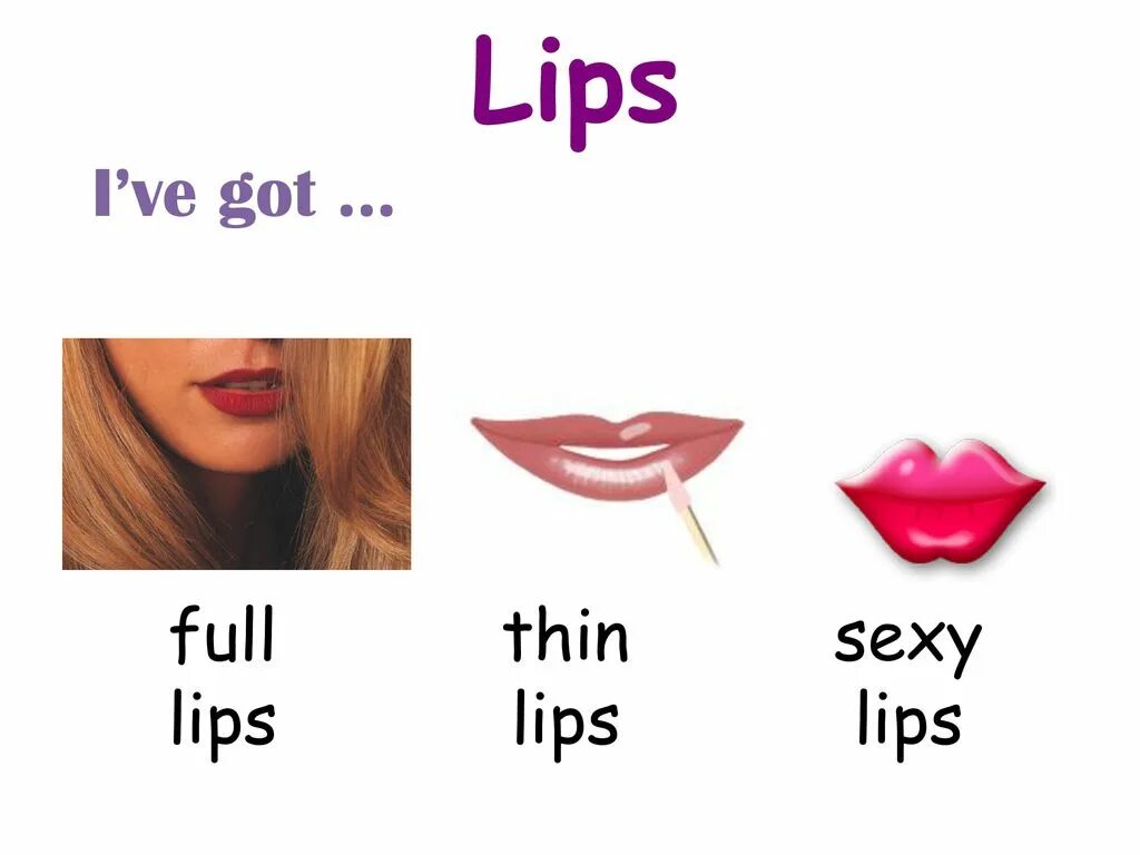 His lips перевод. His lips перевод. Виды губ лайн. His lips перевод. His lips перевод.
