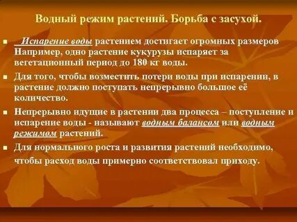 Водный режим растений