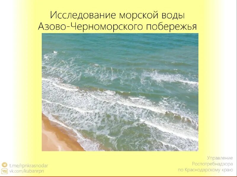Тип стрекающие. Предмет исследования воды. Исследовательская работа море. Исследовательская работа море. Исследование морских глубин.