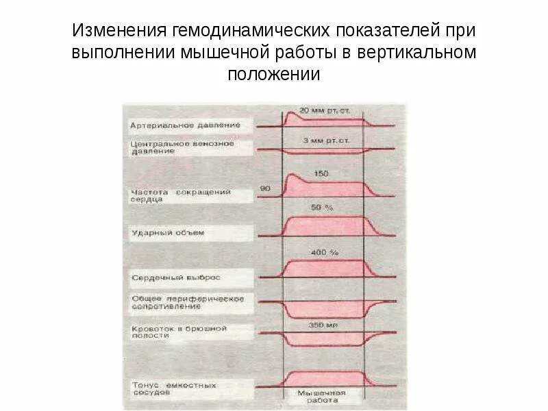 Изменение тонуса сосудов