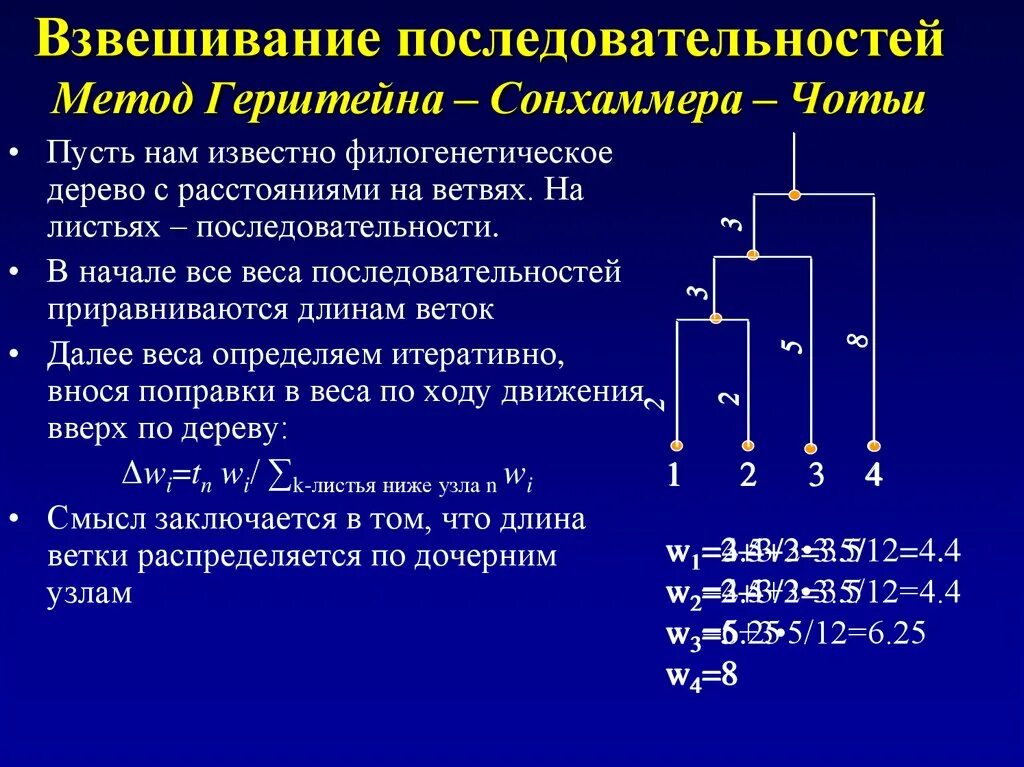 Методика взвешивания. Метод последовательности. Метод - методология - методика последовательного. Весовая последовательность определения. Ряд процедур 8 букв последняя с