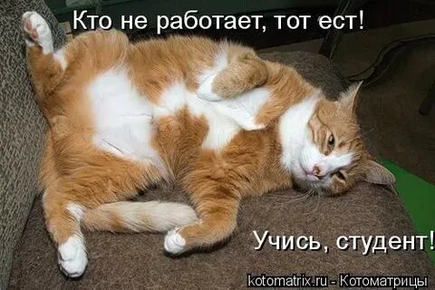 Отстань ты есть меня нет