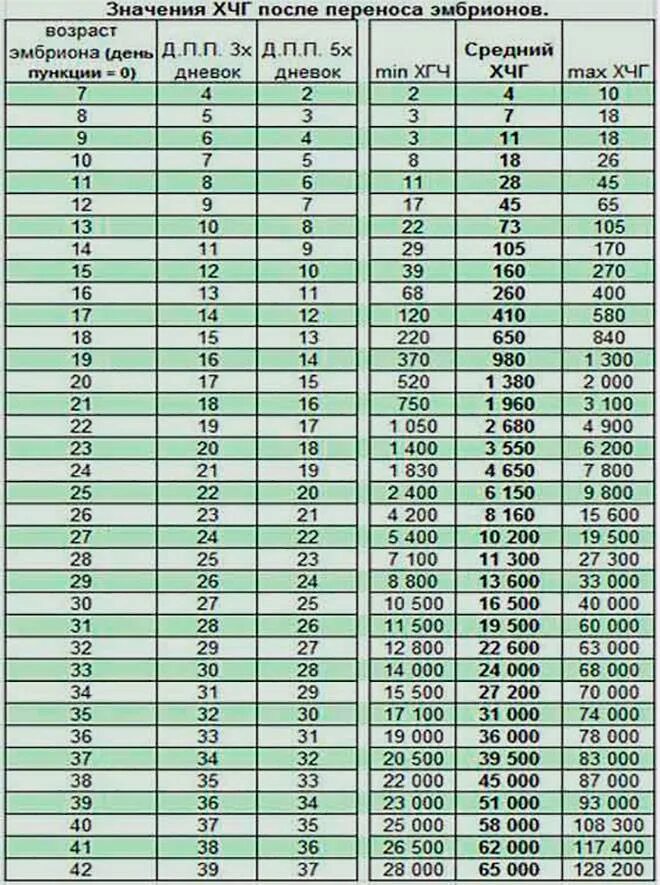 Подсадили эмбрион форум. ХГЧ после эко по дням таблица переноса 5 дневок. Таблица ХГЧ при беременности эко 5 эмбрион. Норма ХГЧ после переноса эмбрионов 5 дневных. ХГЧ эко 5 дневок по дням после переноса.
