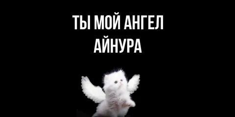 Песню люблю тебя мой ангел