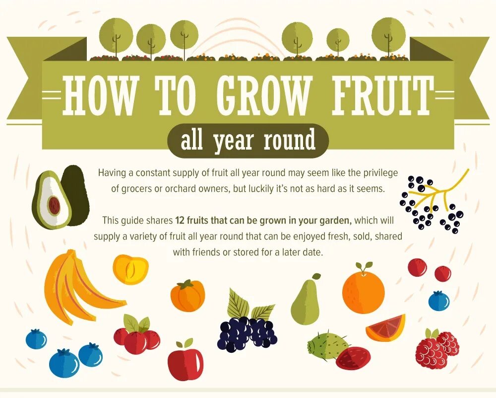 All year Round. Grow Fruit. Fruit show. How Fruit grows for children.