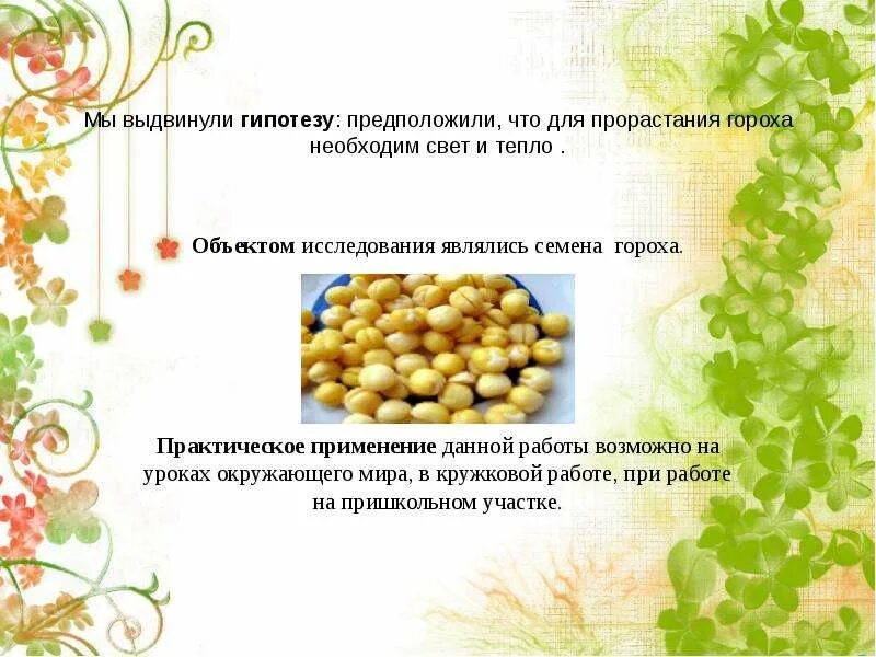 Какие условия необходимы семенам для прорастания. Условия прорастания семян гороха. факторы для прорастания семян гороха. практическая работа практическая работа проращивание семян гороха. презентация проращивание гороха.