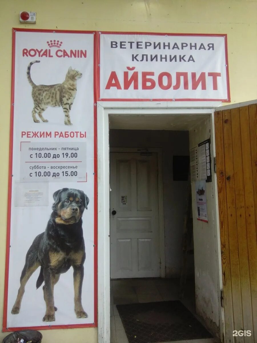 айболит ветеринарная клиника ставрополь. ветеринарная клиника айболит артем. айболит новороссийск ветклиника. ветклиника айболит михайловка. ветклиника айболит часы работы.