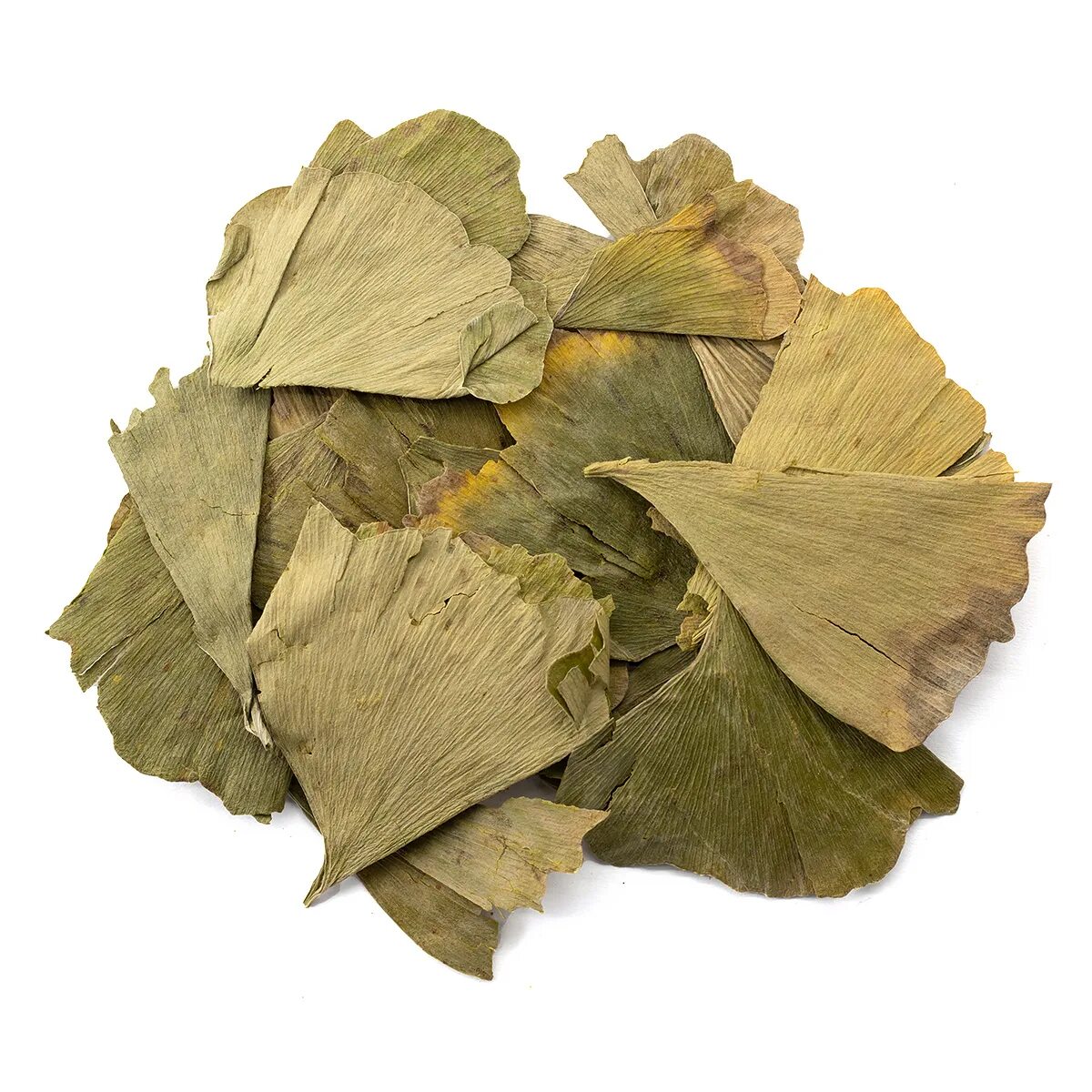 Сухие листья купить. Гинкго билоба листья. Гинкго билоба, листья, 50 гр. Листья билоба гинкго билоба. Сушёные листья гинкго билоба.