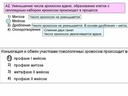 Кратное уменьшение числа хромосом