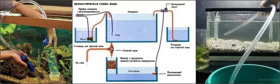 Подмена воды в аквариуме. Система автоматической подмены воды в аквариуме. Фильтруем водопроводную воду для аквариума. Аквариум система замены воды. Как правильно менять воду