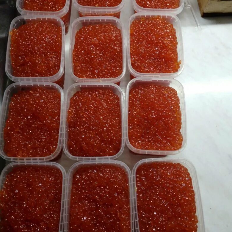 Кетов камчатка. Икра кеты камчатская. икра красная камчатская. икра красная камчатка. икра кеты камчатка.