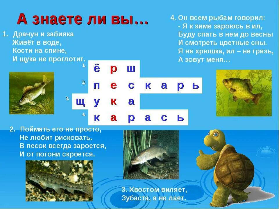 Загадка в воде живет. Загадки для детей на морскую тему. Загадки про водных обитателей. Загадки про водных обитателей для детей. Загадки для детей на морскую тематику.