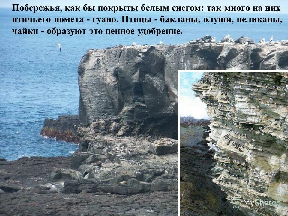 побережий как правильно. мыс доброй надежды на карте. крым море мыс меганом. тихоокеанское побережье лос-анджелес. пасифик коаст хайвей.