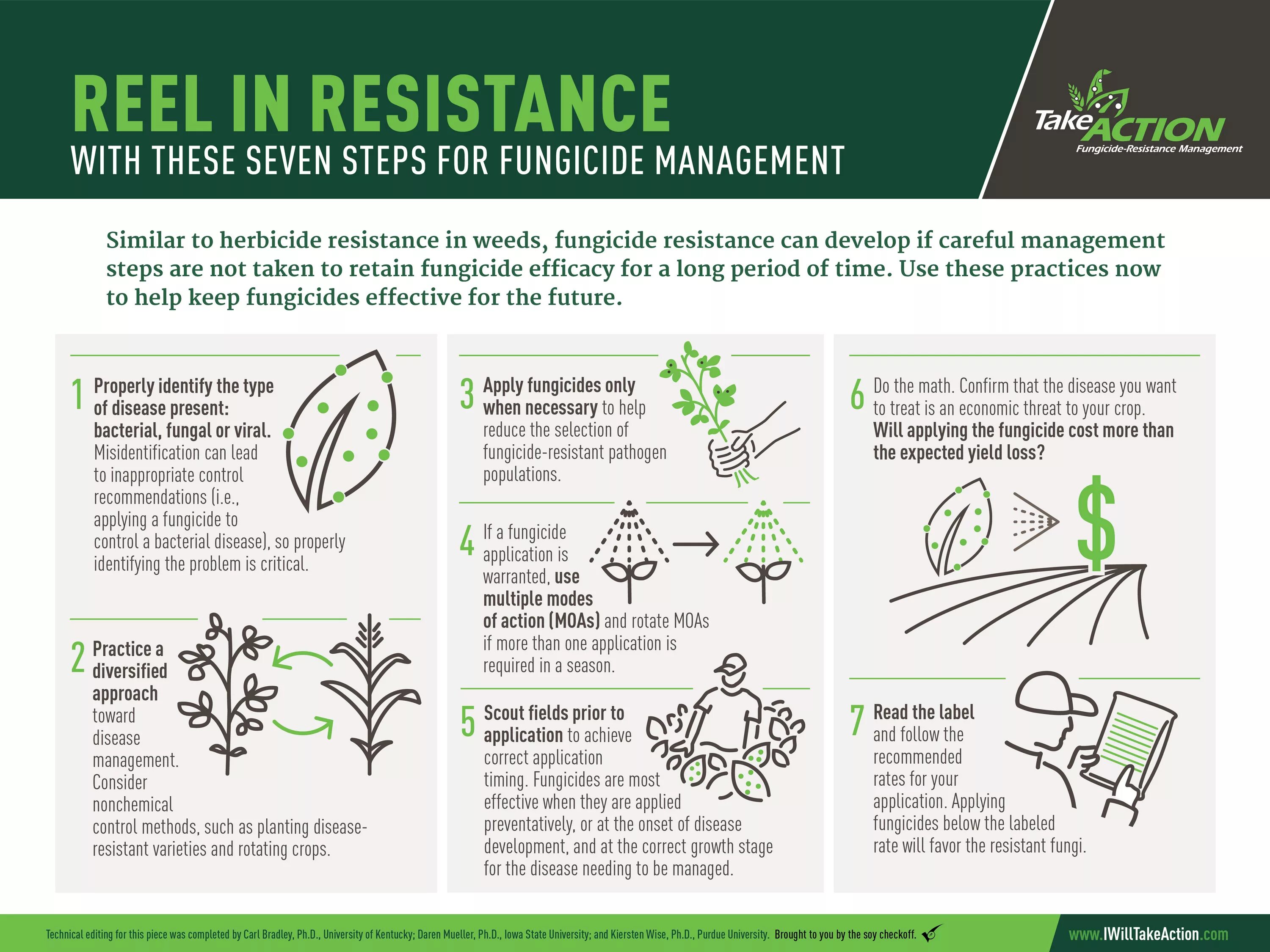 Fungicide Resistance. Viral disease Plant. Pesticide Resistance. Fungicide for Plants.