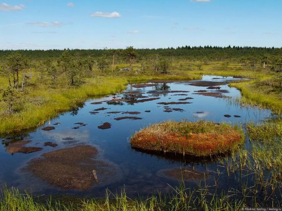 Болота на территории россии на карте. Многолетняя мерзлота это кратко. Термокарстовые озера якутии. Природа западно сибирской равнины 8 класс. Болота на территории россии на карте.