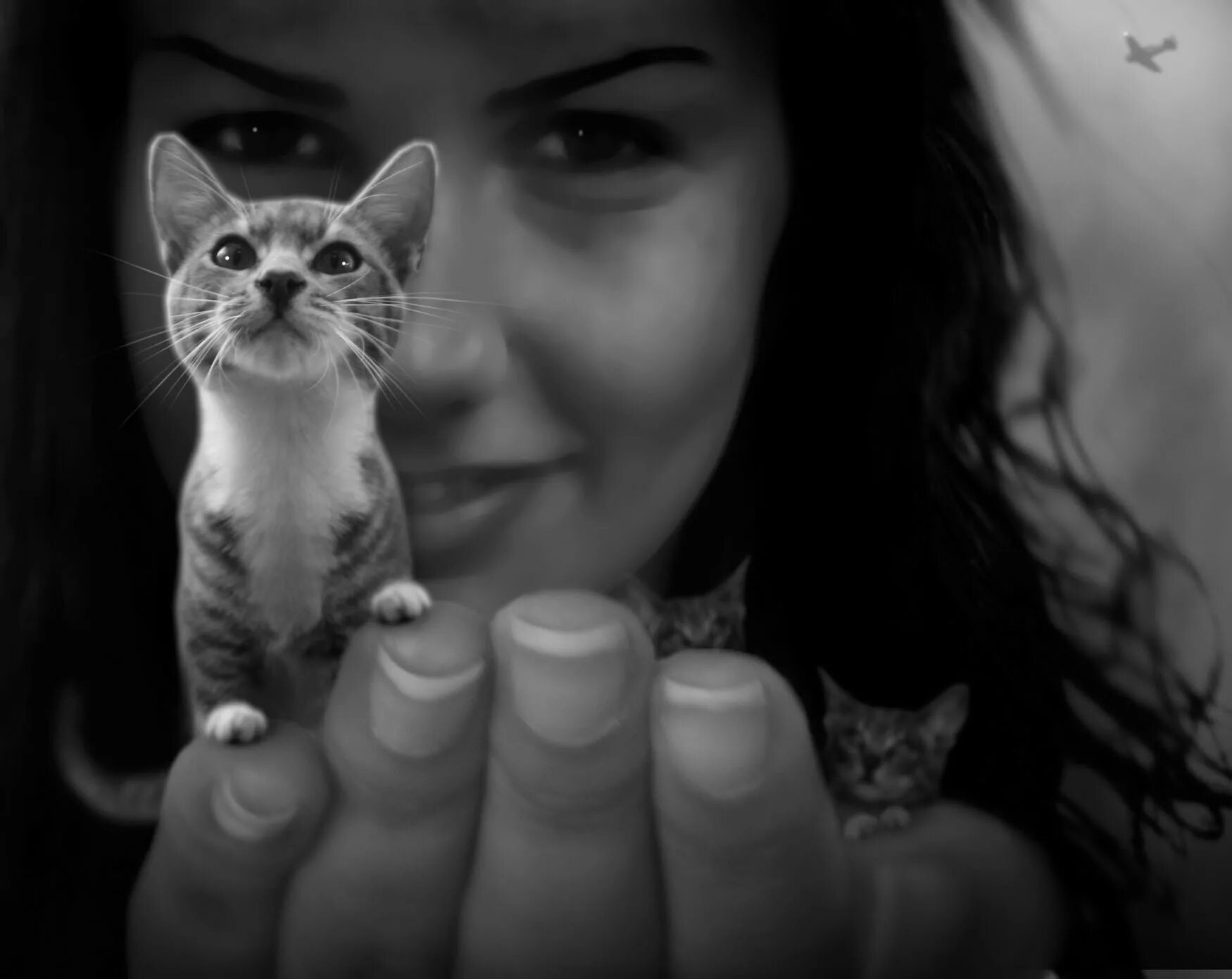 Девушка котик картинки. Девушка с котом. женщина с котом на руках. девушка с котиком на руках. женщина с котенком на руках.