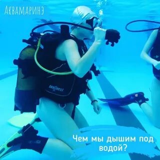 Хамелеон умеет дышать под водой