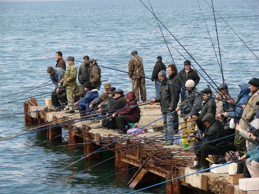 Ловить рыбу в городе. Рыбак на пирсе. Ловля рыбы. Рыболовство в Приморском крае. Рыбак ловит рыбу.