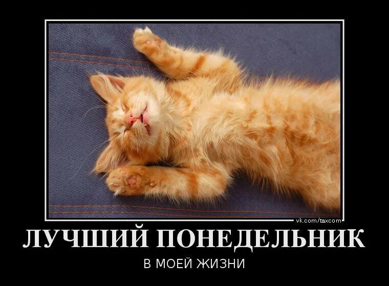 Выходных нет понедельника нет