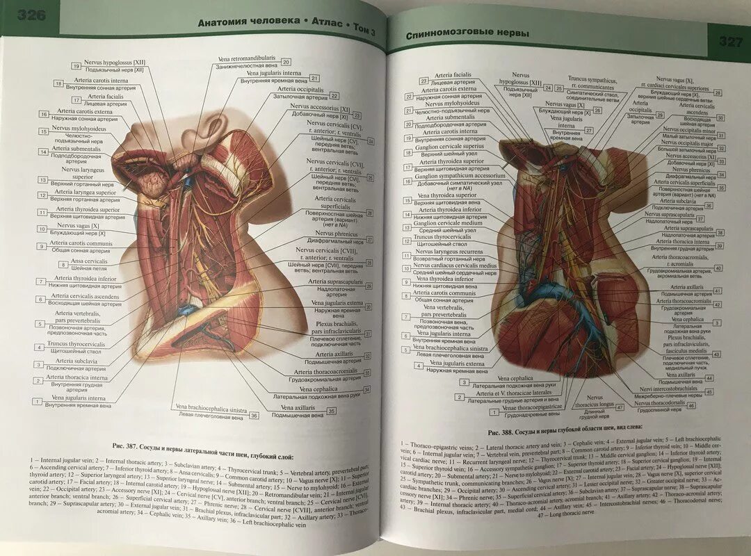 Анатомия книги атласы. Анатомия человека : атлас. В 3-Х томах. Том 3. нервная система - Билич. Атлас анатомии Билич Крыжановский. Билич атлас анатомии человека. Анатомия человека книга Билич.