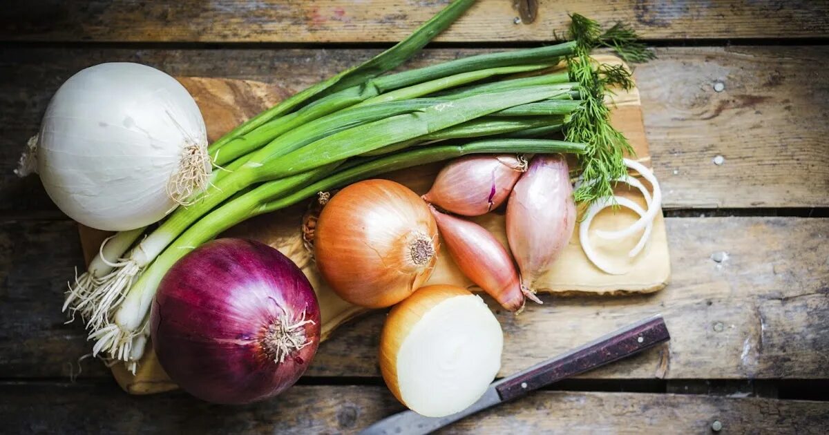 Лук репчатый гордион. Лук овощ. Большой урожай лук. Лук можно овощ. Луковичные овощи.
