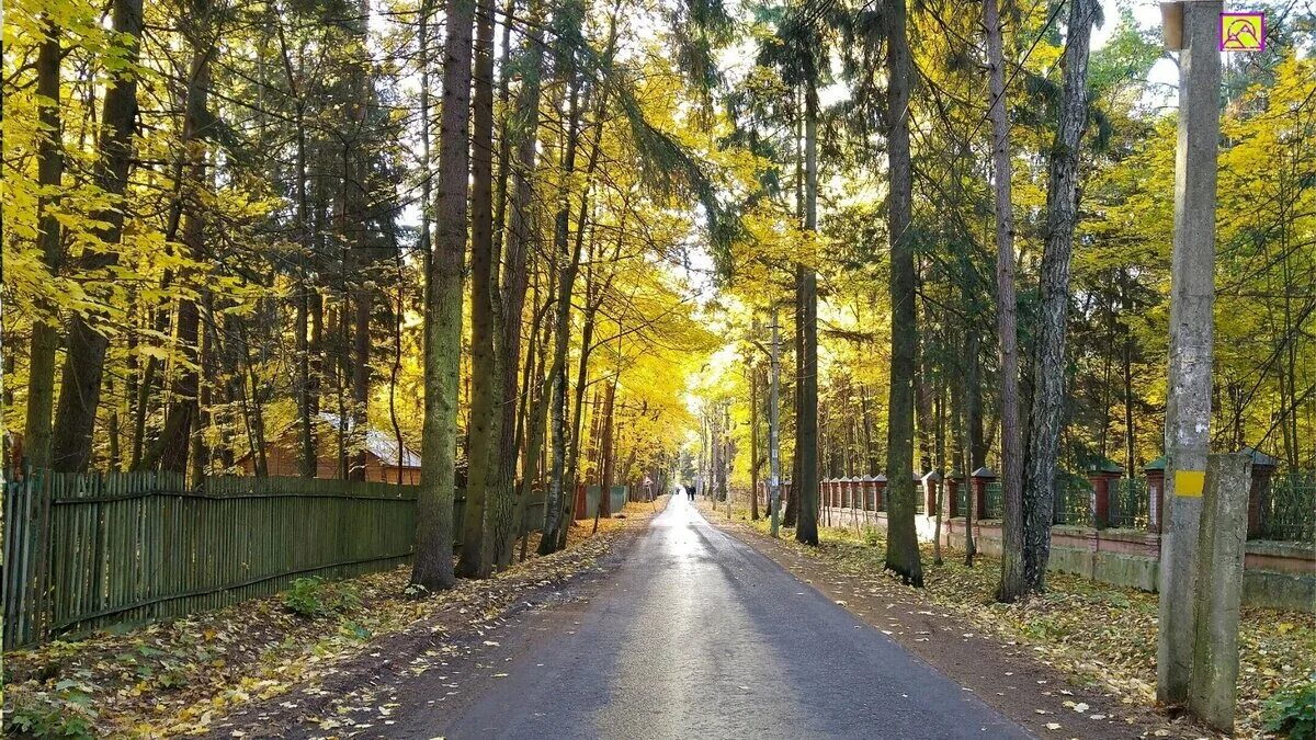 Резиденция писателей Переделкино. Поселок писателей Переделкино. Городок писателей Переделкино. Новопеределкино писательский поселок.