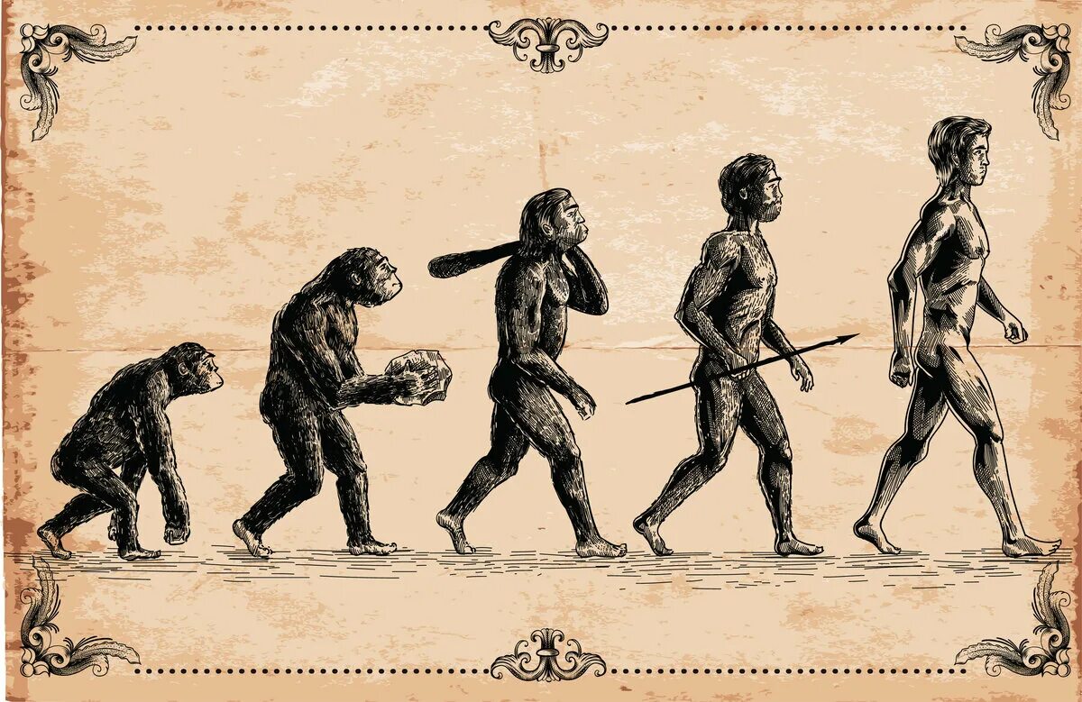 Как менялись древние люди. Эволюция человека homo sapiens. Теория Дарвина о эволюции человека.