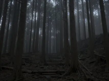 Лес становился глуше