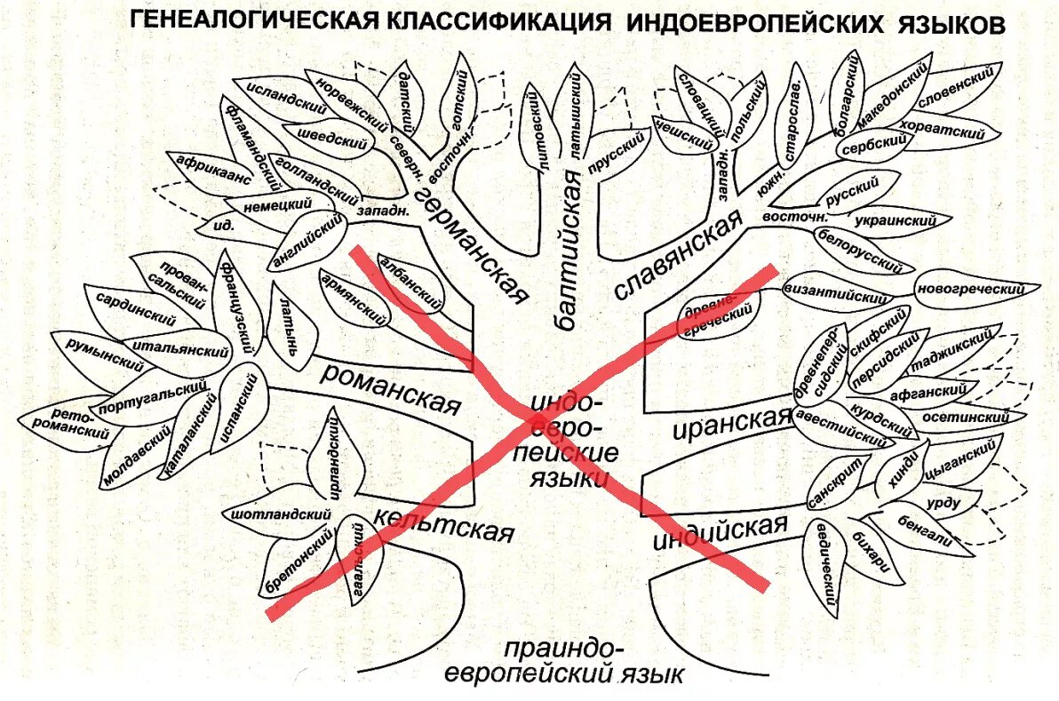 Славянская ветвь языков