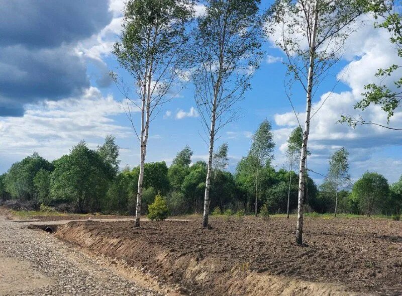 Поселок отрада парк. Отрада парк коттеджный поселок. Отрада парк коттеджный поселок. Тсн невская отрада. Отрада вилладж коттеджный поселок.